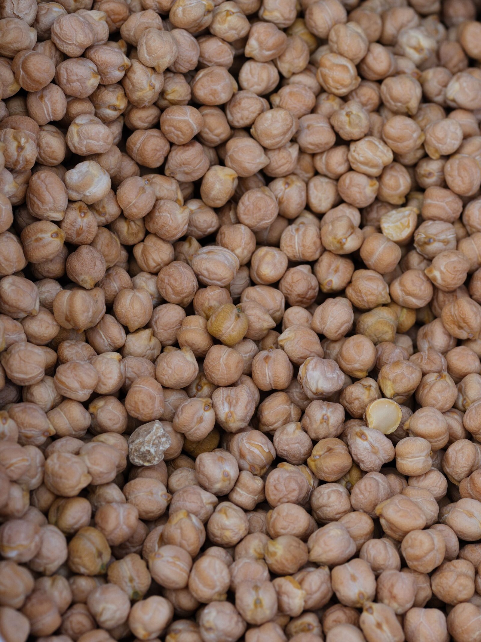 Large Grain Chickpeas