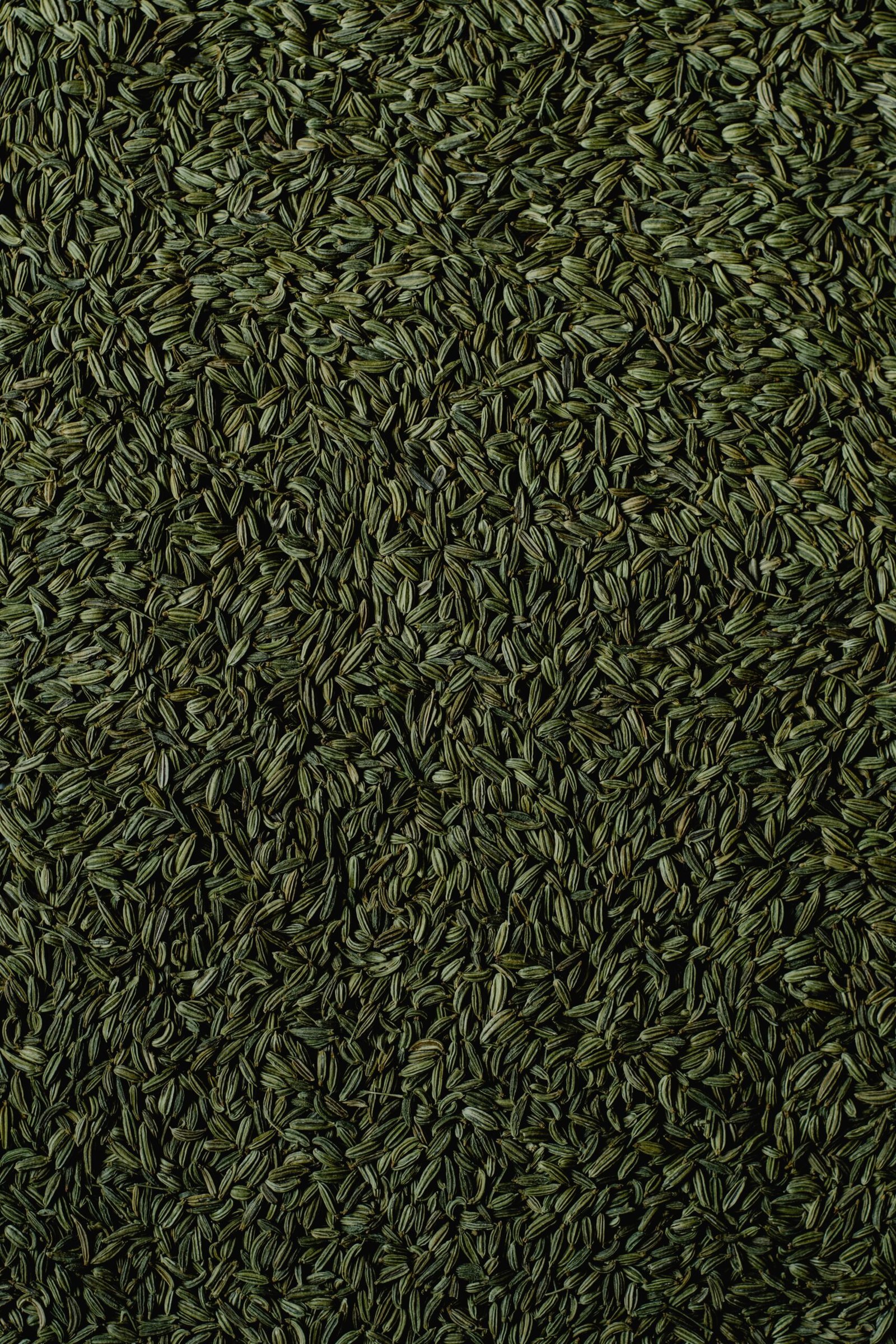 Anise Seeds