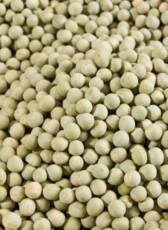 Blue Peas