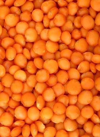 Red Lentils