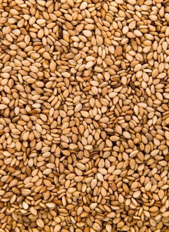 Golden Sesame Seeds