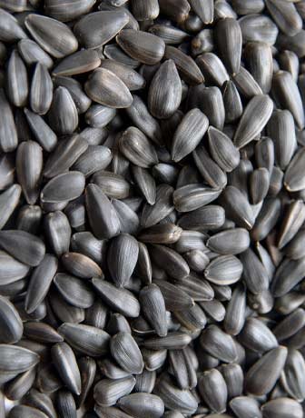 Black Sunflower Seeds