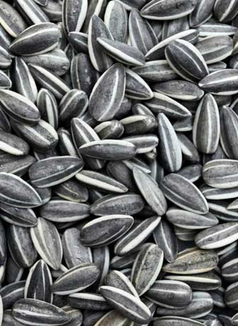 Grey Striped Sunflower Seeds