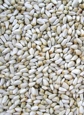 White Safflower Seeds