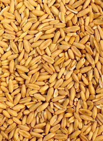 Naked Oats