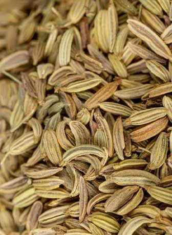 Fennel Seeds