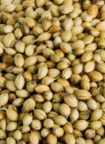 Coriander Seeds