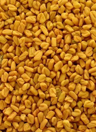 Fenugreek seeds